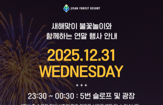 ★2025년 연말 불꽃놀이★